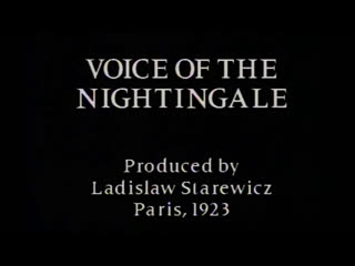 vladislav starevich. the voice of the nightingaling. 1923