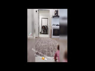 tik tok video daughter runs to meet dad from work